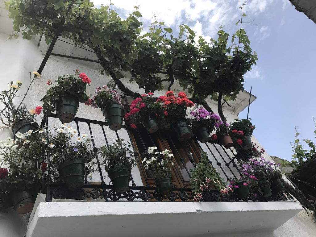ブビオンLa Ermita Del Poqueiraアパートメント エクステリア 写真
