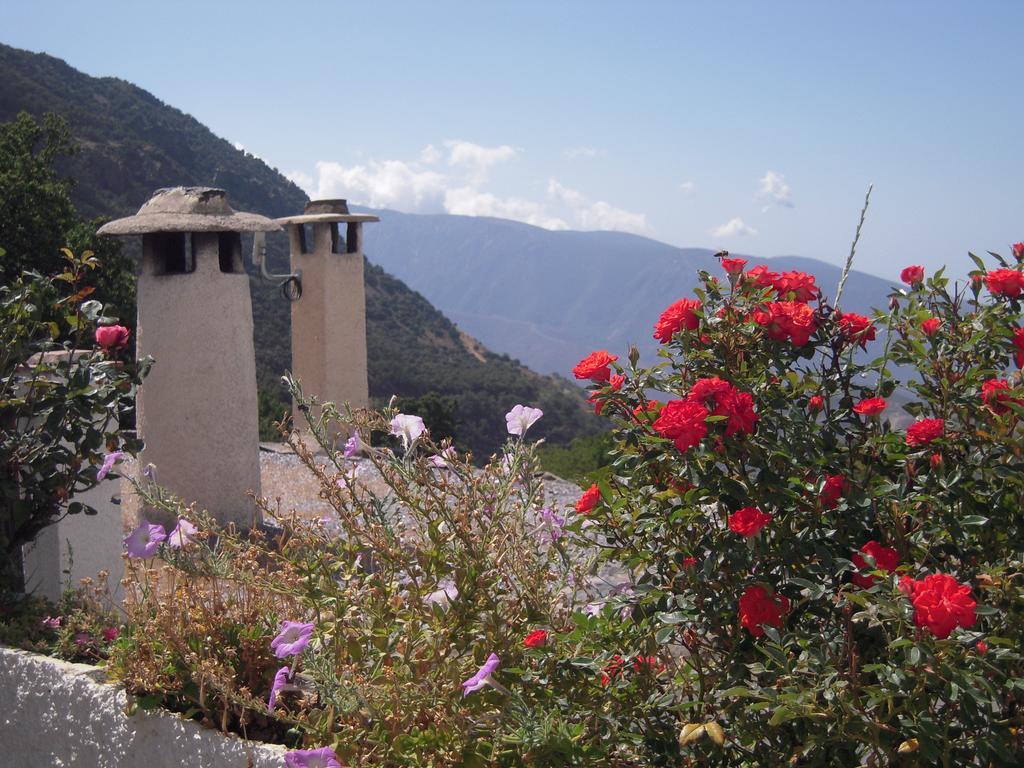 ブビオンLa Ermita Del Poqueiraアパートメント エクステリア 写真