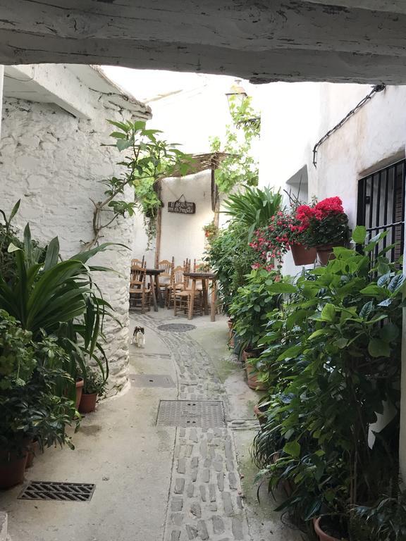 ブビオンLa Ermita Del Poqueiraアパートメント エクステリア 写真